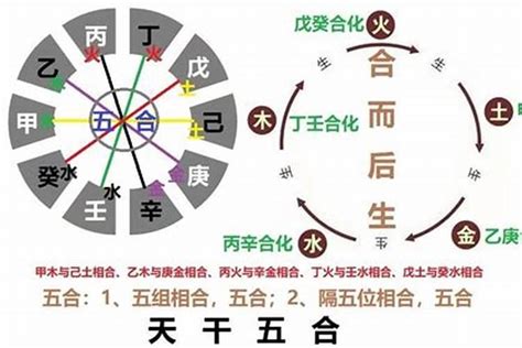 日柱 己巳|己巳日柱三命通会论命 己巳日柱三命通会详解